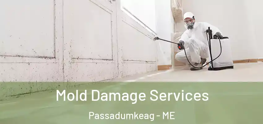  Mold Damage Services Passadumkeag - ME