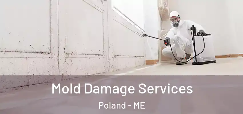  Mold Damage Services Poland - ME