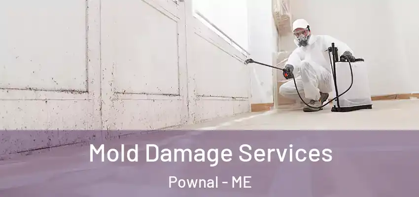  Mold Damage Services Pownal - ME
