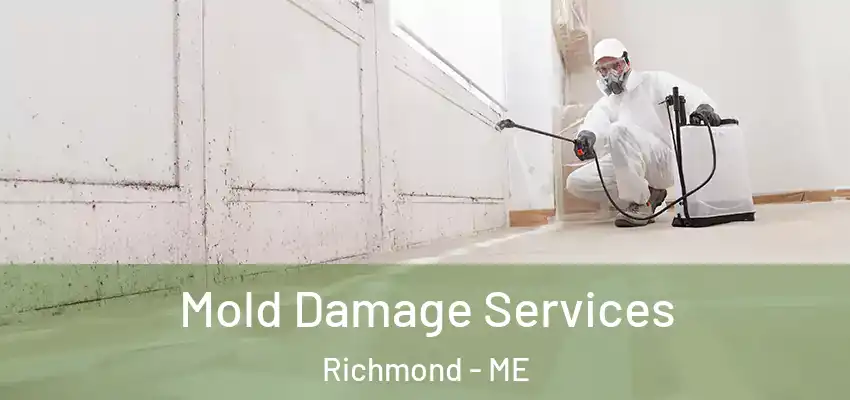  Mold Damage Services Richmond - ME