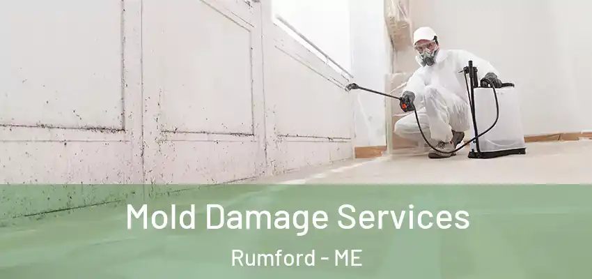  Mold Damage Services Rumford - ME