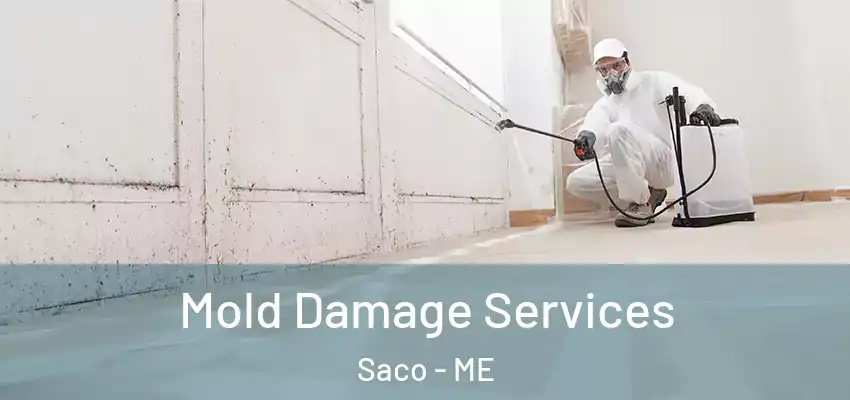 Mold Damage Services Saco - ME