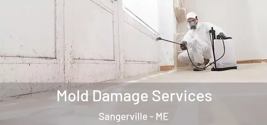  Mold Damage Services Sangerville - ME