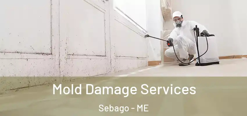  Mold Damage Services Sebago - ME