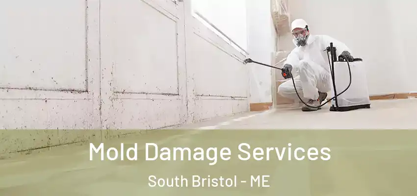  Mold Damage Services South Bristol - ME
