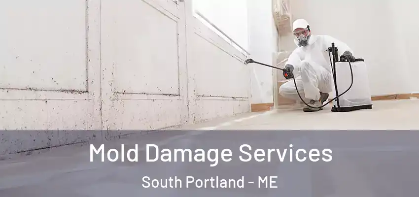  Mold Damage Services South Portland - ME