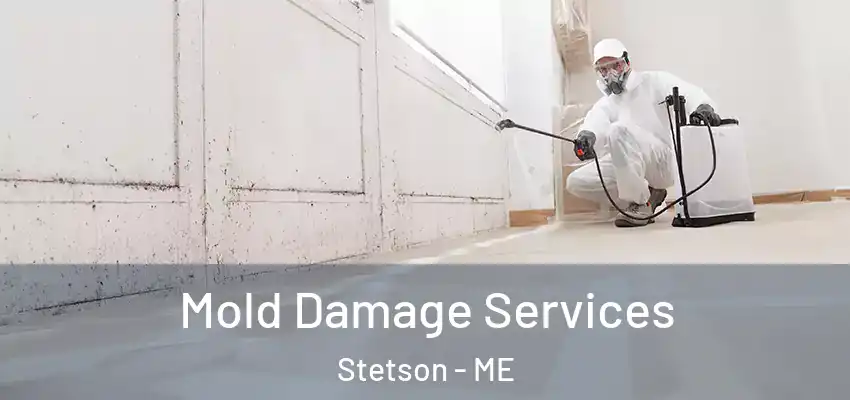 Mold Damage Services Stetson - ME