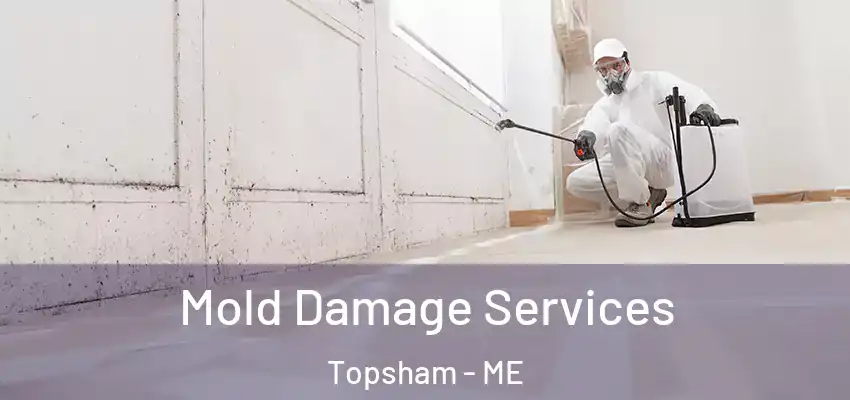  Mold Damage Services Topsham - ME