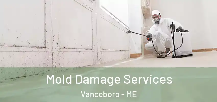  Mold Damage Services Vanceboro - ME