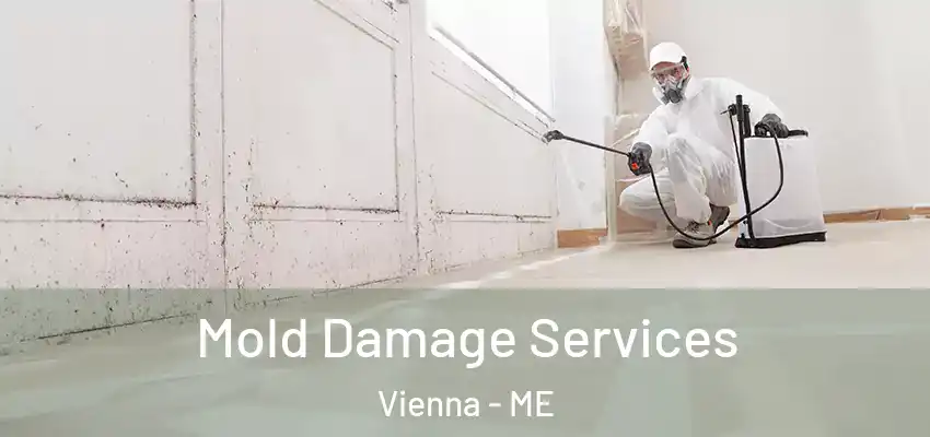  Mold Damage Services Vienna - ME