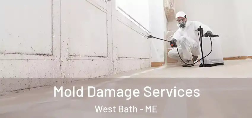  Mold Damage Services West Bath - ME