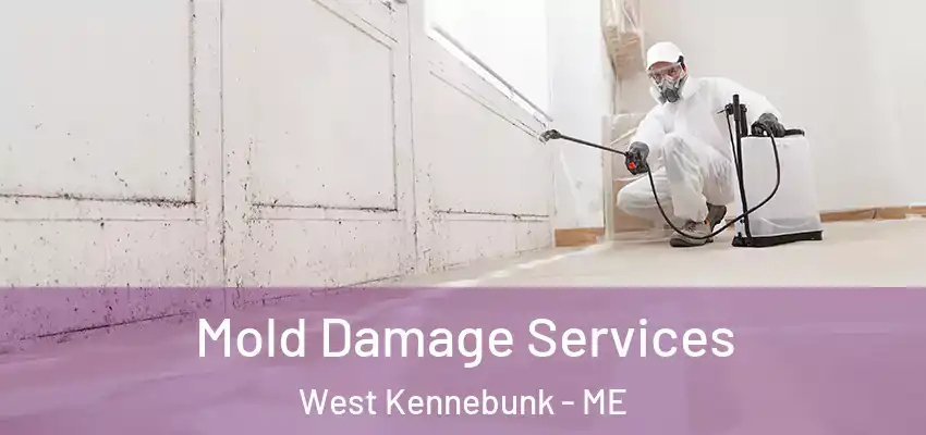  Mold Damage Services West Kennebunk - ME