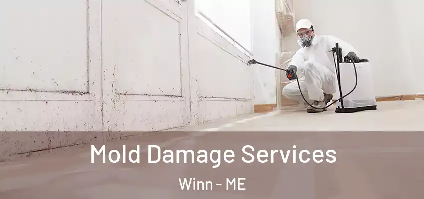  Mold Damage Services Winn - ME