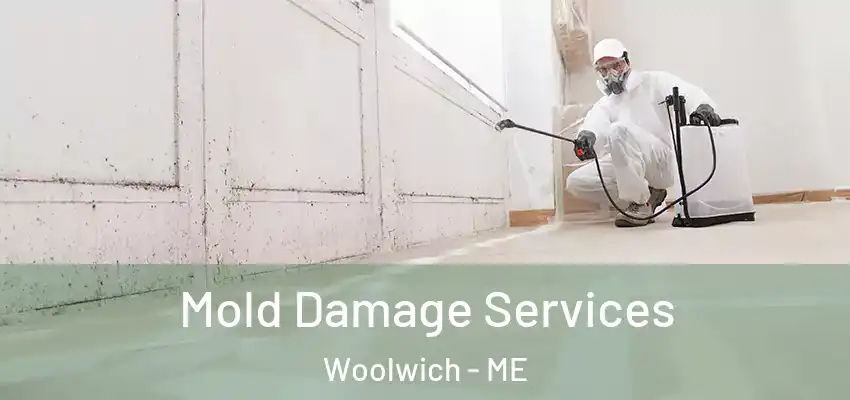 Mold Damage Services Woolwich - ME
