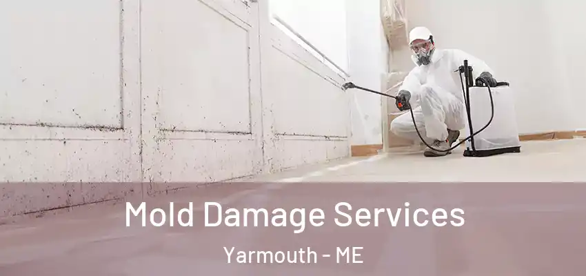  Mold Damage Services Yarmouth - ME