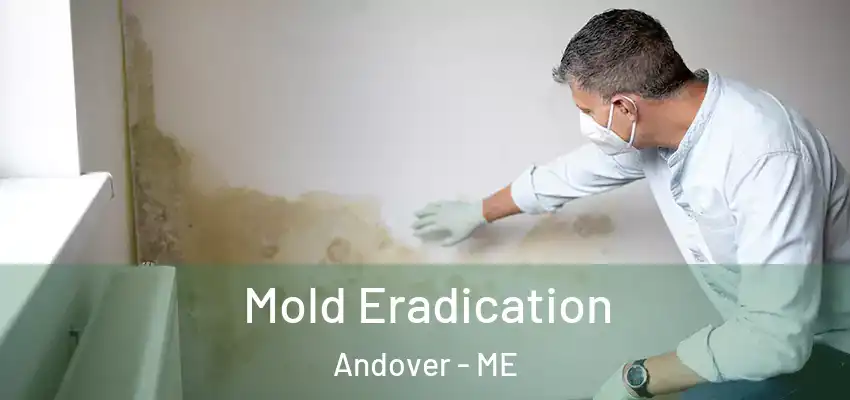  Mold Eradication Andover - ME