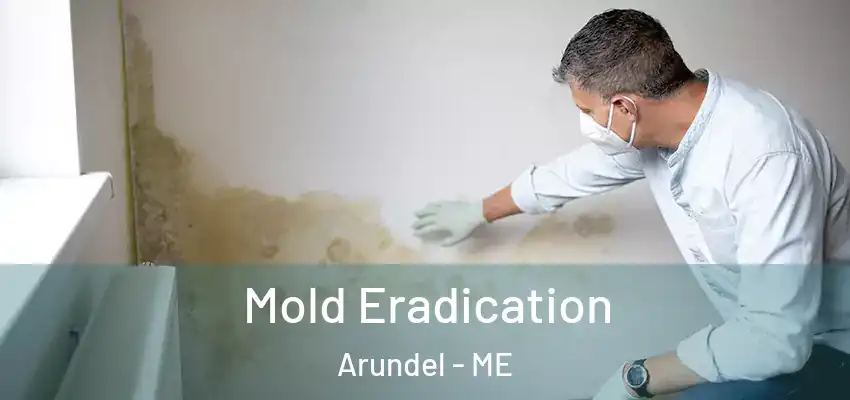  Mold Eradication Arundel - ME