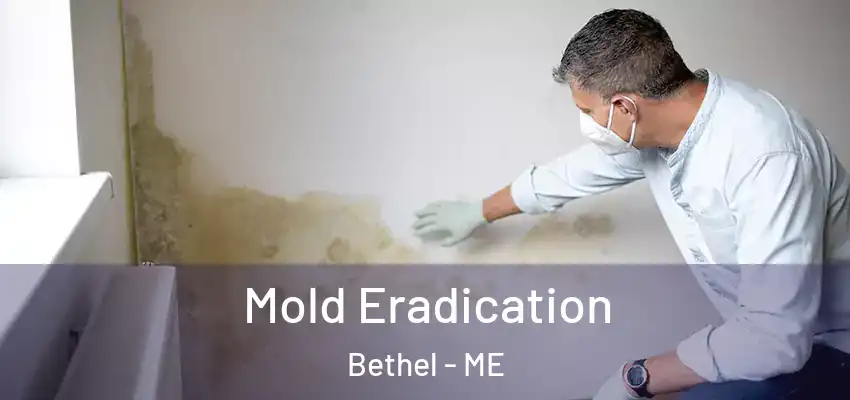  Mold Eradication Bethel - ME
