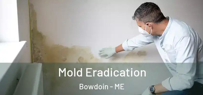  Mold Eradication Bowdoin - ME