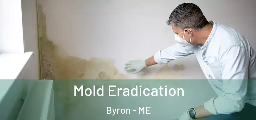  Mold Eradication Byron - ME