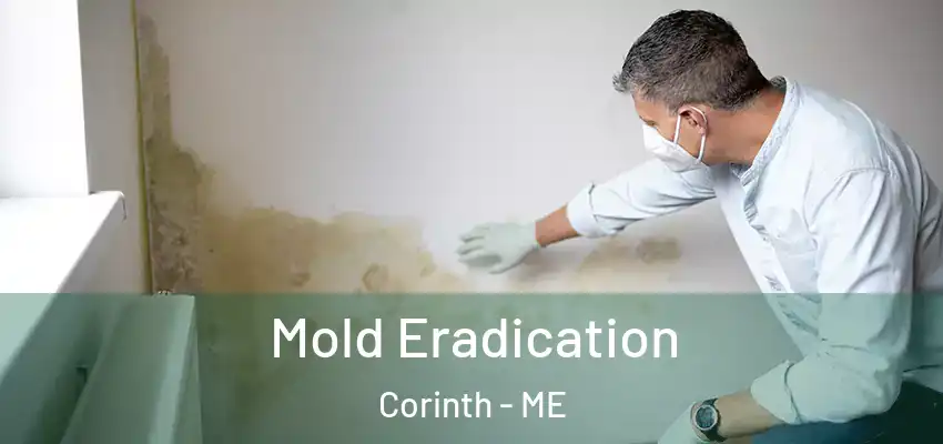 Mold Eradication Corinth - ME