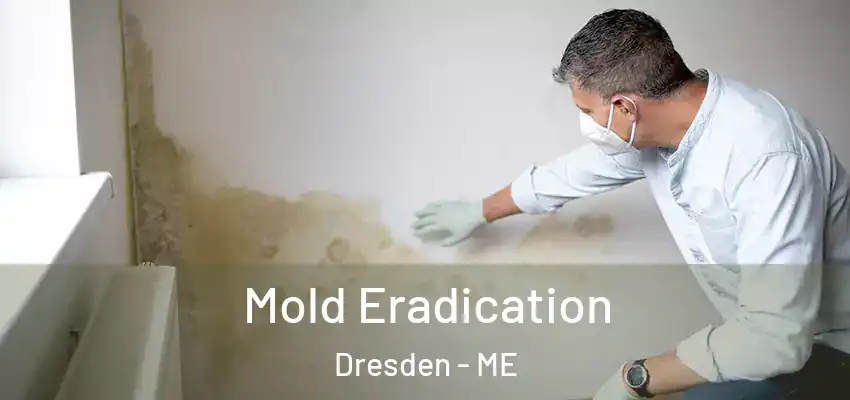 Mold Eradication Dresden - ME