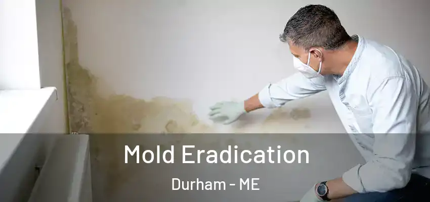 Mold Eradication Durham - ME