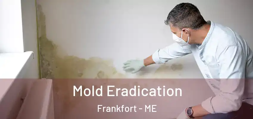  Mold Eradication Frankfort - ME