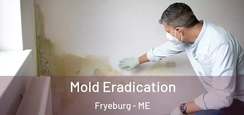  Mold Eradication Fryeburg - ME