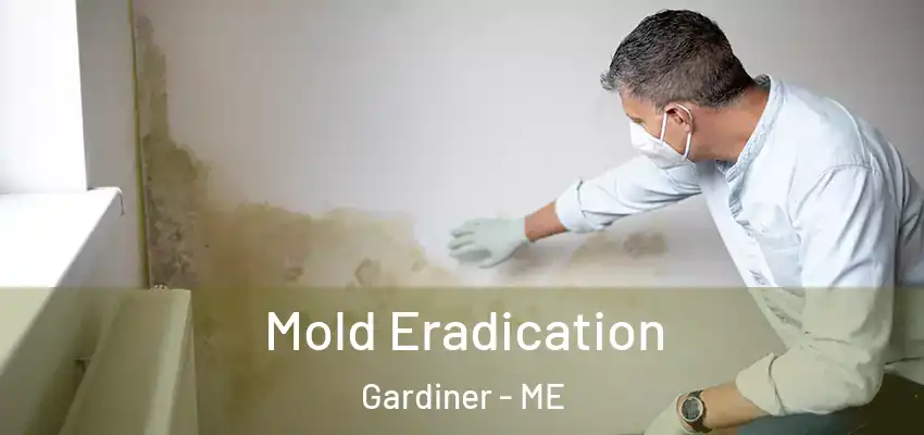  Mold Eradication Gardiner - ME