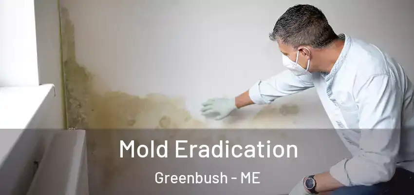  Mold Eradication Greenbush - ME
