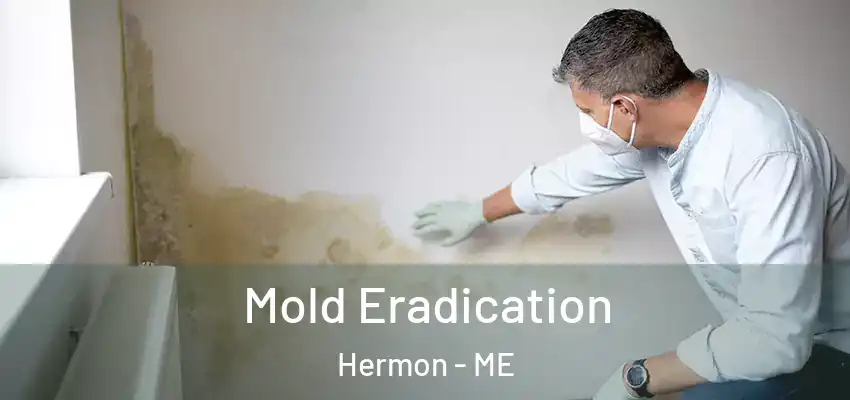 Mold Eradication Hermon - ME