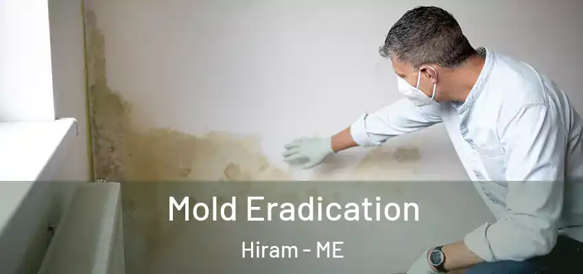  Mold Eradication Hiram - ME