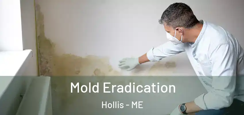  Mold Eradication Hollis - ME
