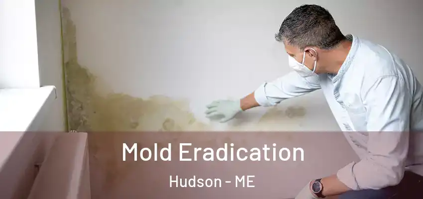 Mold Eradication Hudson - ME