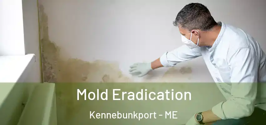  Mold Eradication Kennebunkport - ME