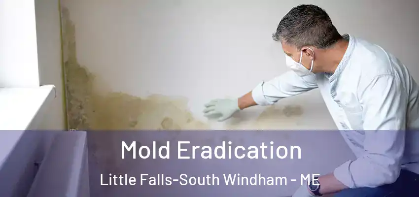 Mold Eradication Little Falls-South Windham - ME