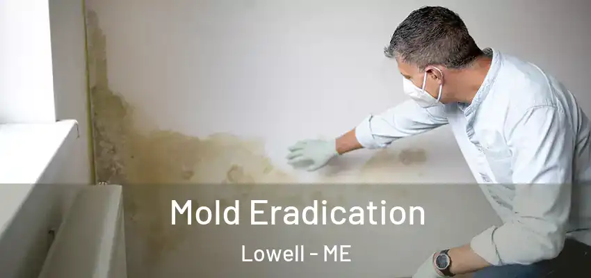  Mold Eradication Lowell - ME