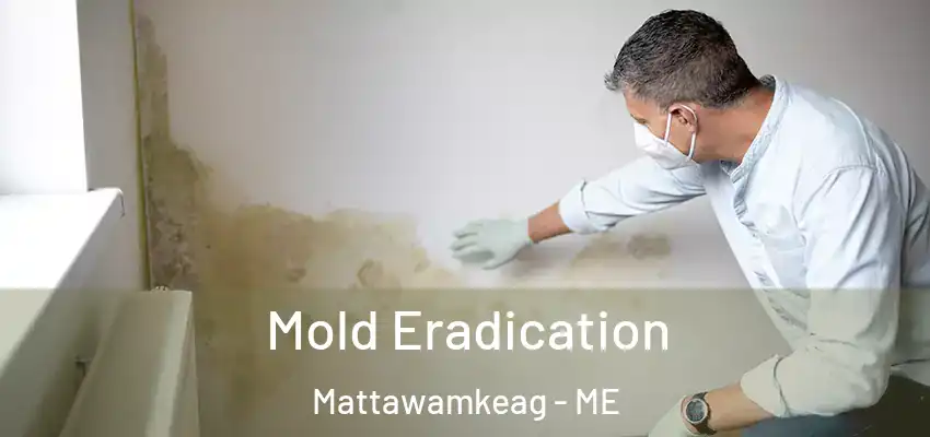  Mold Eradication Mattawamkeag - ME