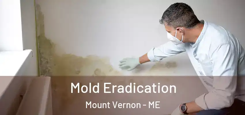  Mold Eradication Mount Vernon - ME