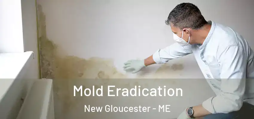  Mold Eradication New Gloucester - ME