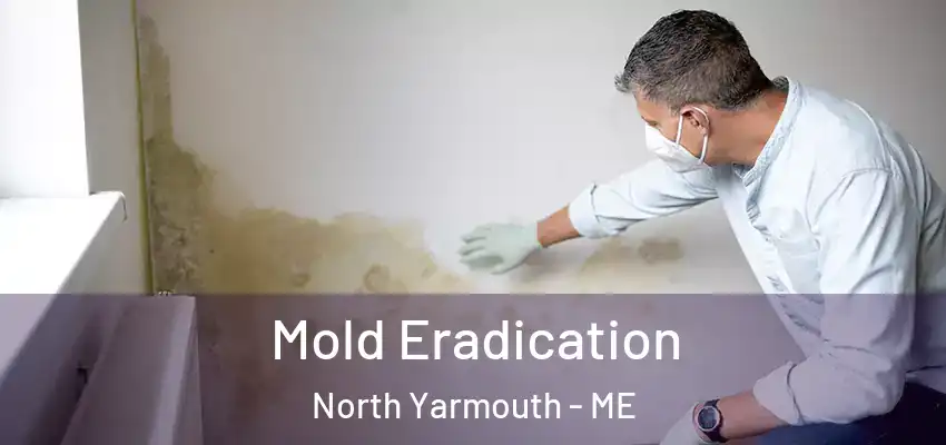 Mold Eradication North Yarmouth - ME
