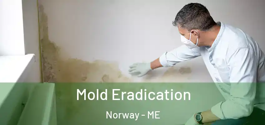  Mold Eradication Norway - ME