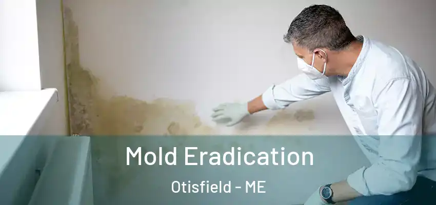  Mold Eradication Otisfield - ME