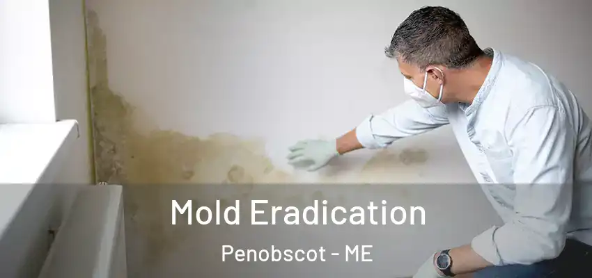  Mold Eradication Penobscot - ME