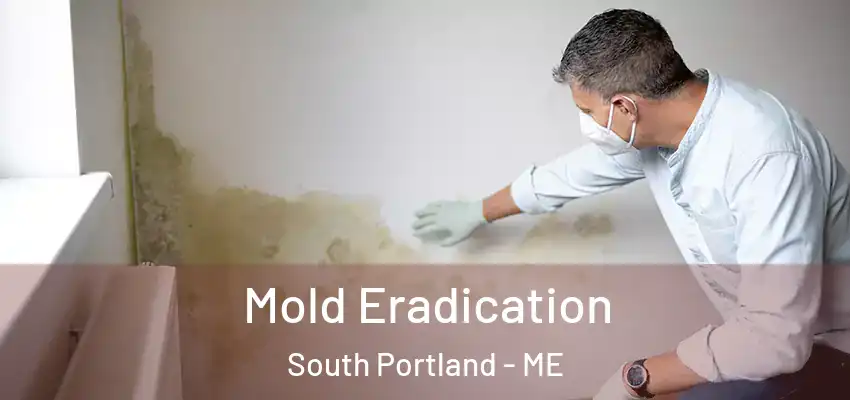 Mold Eradication South Portland - ME