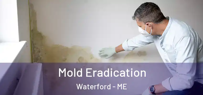  Mold Eradication Waterford - ME