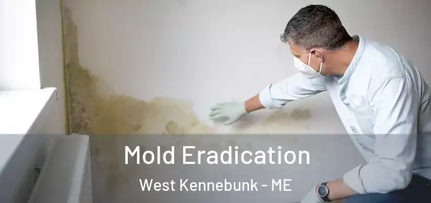 Mold Eradication West Kennebunk - ME