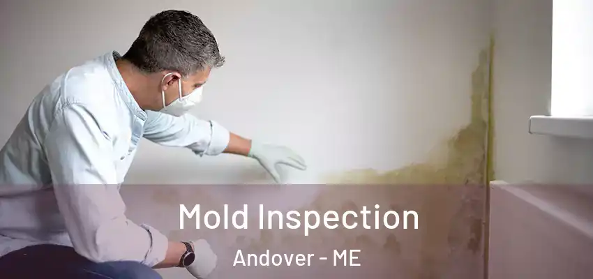 Mold Inspection Andover - ME
