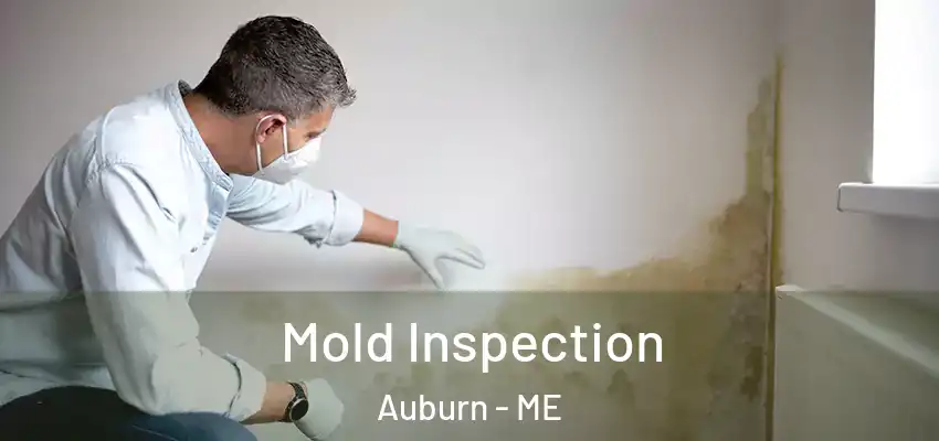  Mold Inspection Auburn - ME